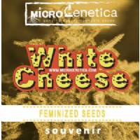 Microgenetica - White Cheese - 10 fem