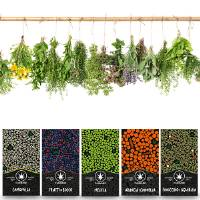Cannabe - Kit Herbal Mix 4+1 (Omaggio )