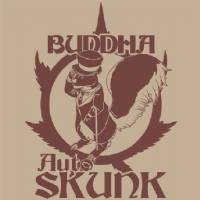 Buddha Seeds - Auto Skunk - 3 auto