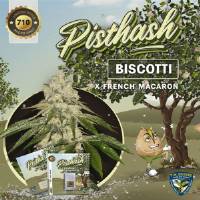 TH Seeds - Pisthash - 5 fem