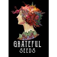 The Grateful Seeds - Runtzbert - 3 fem