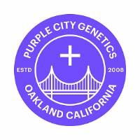 Purple City Genetics - Fillmore Slim - 3 fem