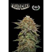 Seedstockers - Superior Fruit Cake - 5 fem