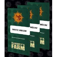 Barney's Farm - White Widow XXL - 3 fem