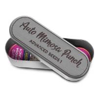 Advanced Seeds - Auto Mimosa Punch - 5+2 Auto