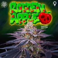 Perfect Tree - Rotten Apple - 6 Fem