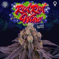 Perfect Tree - Red Red Wine - 6 Fem