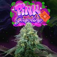 Perfect Tree - Pink Gasoline - 6 Fem