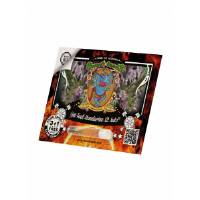 Sweet Seeds - Jet Fuel Mandarine XL- 3+1 auto