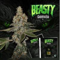 TH Seeds - Beasty 710 Limited Pack - 2 Fem