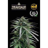 Seedstockers - Superior Zmäkdaun (Outdoor) - 3 fem