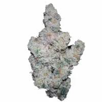 Growers Choice - Super Boof - 3 fem