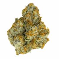 Growers Choice - Blue Zushi Limited Edition - 3 fem