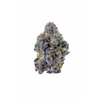 Growers Choice - Sticky Wasabi Triploid F1 - 100 fem