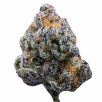 Growers Choice - Platinum Mimosa Cookies Fast Version - 100 fem