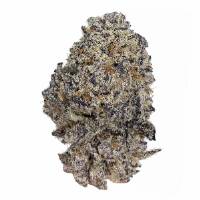 Growers Choice - Original Oreoz - 3 fem