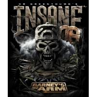 Barney's Farm - Insane OG - 10 fem