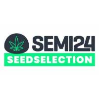 Semi24 Seedselection - Mango Cake - 100+40 fem
