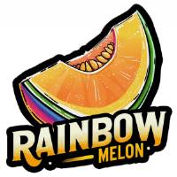 Fast Buds - Rainbow Melon - 5 fem