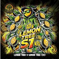 Elev8 Seeds - Lemon Tree S1 - 3 fem