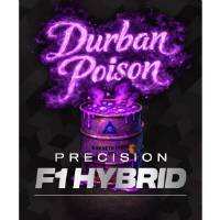 Barney's Farm - Durban Poison - 5 fem