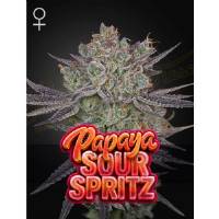 Green House - Papaya Sour Spritz - 1 Fem