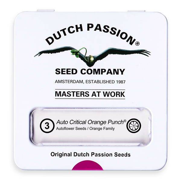 Dutch Passion - Critical Orange Punch - 1 Fem