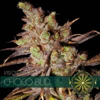 Vision Seeds ChocoBud 3 Semi